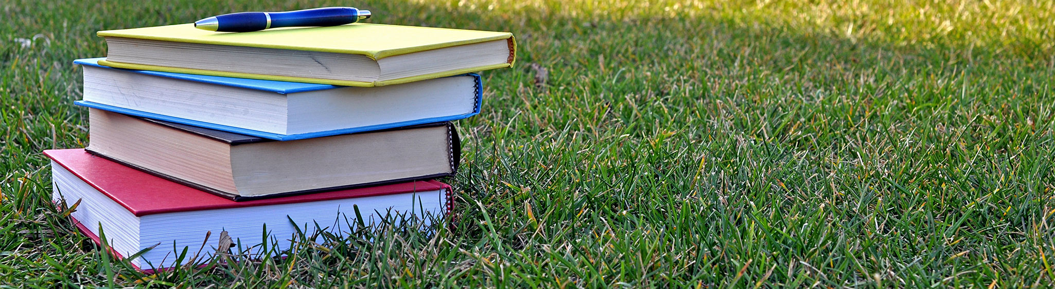 College Admission Pursuit